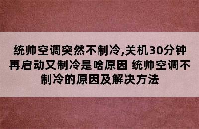 统帅空调突然不制冷,关机30分钟再启动又制冷是啥原因 统帅空调不制冷的原因及解决方法